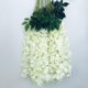 thumbnail image 3 of Guirnalda NEOONES 114 cm Glicinia Crema Blanco – Pack de 40, 3 of 7
