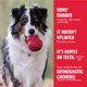 thumbnail image 4 of Pelota Dog Fetch Toy KONG de goma natural duradera para perros grandes, 4 of 8