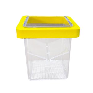 Ioensy - Caja Flotante Para Criador De Peces, Caja De Eclosión De Separación Para Pez Payaso, Camarón Betta