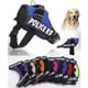 thumbnail image 3 of Arnes Police K9 Reforzado Perros Medianos Grandes M L Xl, 3 of 3