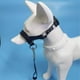 thumbnail image 3 of Collar para perros sin tirar para perros grandes (perros agresivos / reactivos; parada instantánea de tirar; collar de entrenamiento suave para perros; solución cómoda, segura y efectiva par, 3 of 3