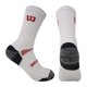 thumbnail image 3 of Pack 12 Calcetines Multicolor Talla 40-44, 3 of 5