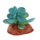 thumbnail image 4 of Acuario Pecera Adornos Plantas Suculentas Reptil Escondite Decoración D, 4 of 5