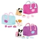 thumbnail image 1 of Set de cachorros coleccionables Pucci Pups Boston Terrier, Pug y Shih Tzu, 1 of 5