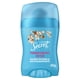 thumbnail image 1 of Desodorante Barra Antitranspirante Secret Powder Protect Cotton Mujer, 45 g, 1 of 5