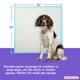 thumbnail image 4 of Tapetes PETSWORLD 91 cm Ultra Absorbentes - 25 unidades, 4 of 7