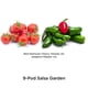 thumbnail image 2 of Kit de cápsulas para semillas AeroGarden Salsa Garden de 9 cápsulas con nutrientes, 2 of 4