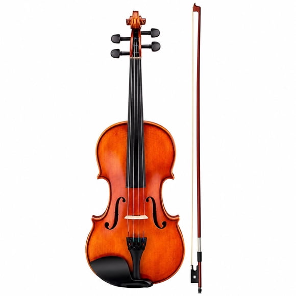 Violín 4/4 Profesional con Estuche Tipo Case y Arco - PS