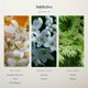 thumbnail image 3 of Eau de Parfum Scentiment 50 ml Addictive, 3 of 5