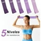 thumbnail image 4 of Ligas De Resistencia Para Ejercicio, Bandas Elásticas De Resistencia Con 5 Niveles De Resistencia, Ligas De Látex Natural Para Hombre Y Mujer, Ligas Gym Para Musculación, Yoga, Fitness, 4 of 6