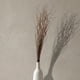 thumbnail image 4 of Ramo sauce crespo 90 cm, 4 of 4