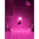 thumbnail image 3 of Ampolleta Led Colores Fiesta Luz Color Lampara Rosa rosa, 3 of 5