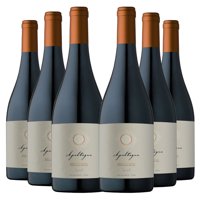 6 Vinos Apaltagua Gran Reserva Syrah