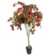 thumbnail image 1 of Planta Decorativa Arbol de Buganvilla 150Cm, 1 of 3