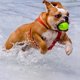 thumbnail image 3 of Teloon Pressure Training Tennis Balls, 12 unidades, 3 of 3