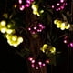 thumbnail image 3 of Cadena de luces LIDORE Grape Vine 100 LED para decoración del hogar, 3 of 7