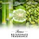 thumbnail image 3 of Air Wick Essential Mist Rejuvenate 20 ml – Recarga, 3 of 7