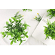 thumbnail image 2 of Plantas artificiales 4 uds bonsái macetas, 2 of 3
