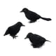 thumbnail image 2 of 3 Piezas De Cuervos De Halloween, Pájaros, Cuervos De Plumas De Simulación Negra Para Fiesta De Halloween, Estilo A, 2 of 5