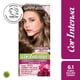 thumbnail image 1 of Coloración Cabello Rubio Oscuro Cenizo Tono 6.1, 45 g, 1 of 1