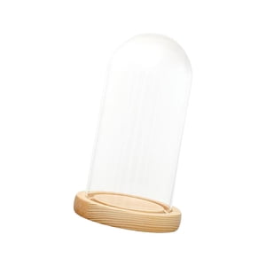 Magideal - Cloche De Cúpula De Vidrio Transparente, Cloche De Cúpula Transparente, Decoración De Casa De Muñecas, Cúpula De Exhibición De Campana De Cubierta De 12Cmx18Cmx14Cm