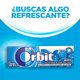 thumbnail image 4 of Chicle Sin Azúcar Sabor Menta, 14 g, 4 of 6