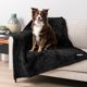 thumbnail image 1 of Manta impermeable para perros PetaMi Fluffy para perros medianos y grandes, 1 of 8