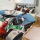 thumbnail image 1 of Spiderman Bedding Sets for Kids Men Women, 1 of 5