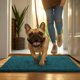 thumbnail image 5 of Alfombra para puerta de perro MUDGUARD MAT 91 cm x 150 cm Azul, 5 of 5