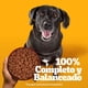 thumbnail image 4 of Alimento Húmedo Perro Senior Sabor Carne Pouch, 100 g, 4 of 9