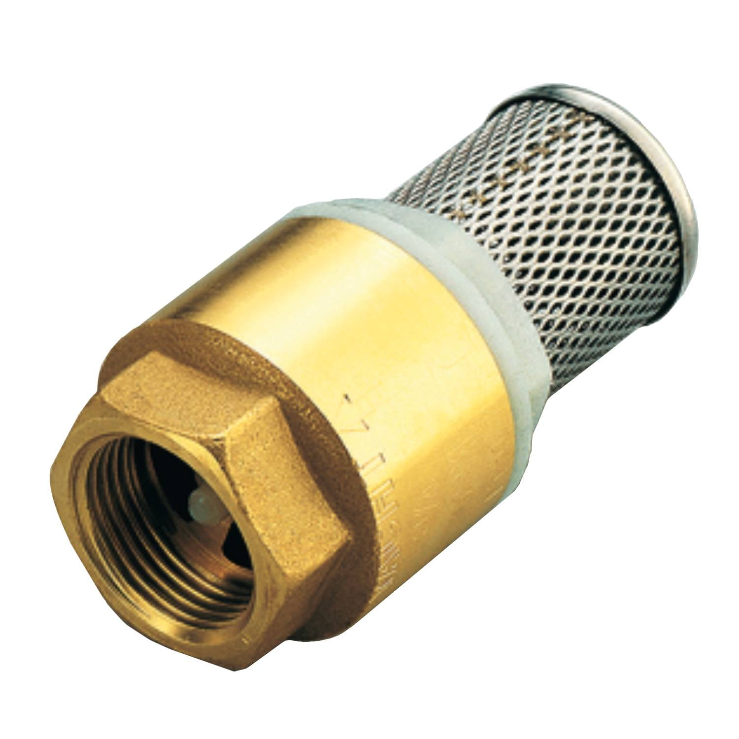 Valvula De Pie 1' 1/2' Tiemme