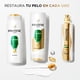thumbnail image 2 of Shampoo Pantene Pro-V Restauración, 2 of 5