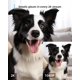thumbnail image 5 of Cámara de Seguridad blurams 5G 2K 360° PTZ WiFi6 Doble Banda, 5 of 8