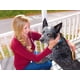 thumbnail image 5 of Cepillo para perros de doble cara de bambú ecológico AtEase Accents, 5 of 8