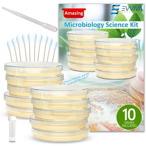 Es Evviva Sciences - Kit De Proyectos Científicos De Microbiología Evviva Sciences Con Agar