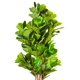 thumbnail image 5 of Planta Artificial Decorativa Arbol Grande Ficus Lyrata 180c, 5 of 8