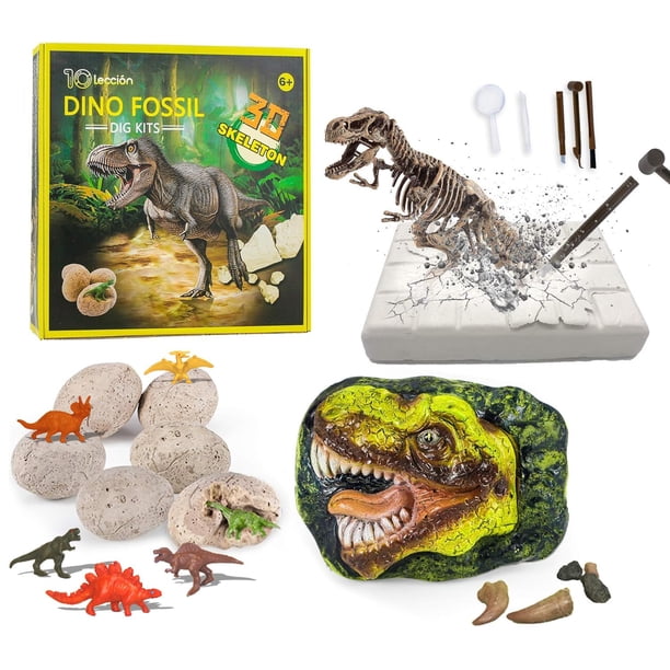 Kit de excavación de fósiles de dinosaurios para niños, 10 unidades, con huevos de dinosaurio