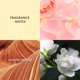 thumbnail image 3 of Perfume Jennifer Aniston Eau De Parfum 85 ml para mujer, 3 of 6