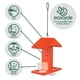 thumbnail image 4 of Comedero Para Aves Citrus Sampler De Doble Cara 0 4 Cuartos, 4 of 9