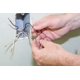 thumbnail image 2 of Conectores de cables eléctricos Gardner Bender PushGard, 2 puertos, 22-12 AWG, 100 unidades, 2 of 5