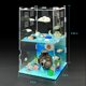 thumbnail image 5 of VIVARIUM KFPSHLQE 14x14x24 cm Set de Accesorios Oceánicos, 5 of 6
