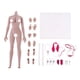 thumbnail image 3 of 1: 6 Esqueleto De Cuerpo Femenino Sin Costuras Con Forma Europea Súper Flexible Nueva Piel De Trigo, 3 of 3