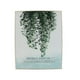 thumbnail image 1 of Cuadro 41x51Cm Surtido, 1 of 2