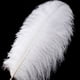 thumbnail image 2 of Plumas de avestruz Larryhot blancas 41‑46 cm, 10 piezas, 2 of 7