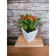 thumbnail image 3 of Rama Bromelia - Ginger 30cm Artificial, 3 of 3