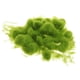 thumbnail image 4 of Artificial Grass Powder Model Building Decor DIY Accesorios Verde Claro, 4 of 5