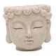 thumbnail image 4 of Maceta Con Cabeza De Buda, Regalo Budista, Maceta Para Cocina, Jardín Y Hogar, 4 of 5