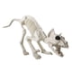 thumbnail image 1 of Esqueleto De Gato Para Halloween, Decoración De Huesos De Gato Para Interiores Y Exteriores, Césped Y Patio Trasero., 1 of 5