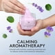 thumbnail image 2 of Scented Therapy Putty Special Supplies, juego de 6 aromas, 135 ml, 2 of 8