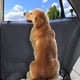 thumbnail image 2 of Protector de puerta de coche de perro 丨2 Pack Extra grande y grueso anti mascota rascando cubiertas impermeables de la puerta del vehículo guardia del panel interior del camión seguro del S, 2 of 3